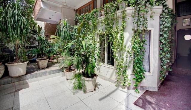 Nu Delhi Homestay New Delhi Exteriör bild